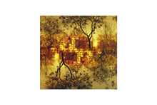 LOMOGRAPHY LOBSTER REDSCALE NEGATIVE (110)