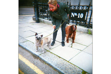 LOMO CN400 (120)