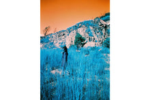 LOMO TURQUOISE (135)