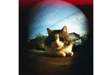 LOMO CN400 (120)