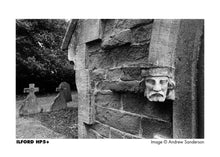 ILFORD HP5 (120) - MEDIUM FORMAT