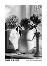 ILFORD XP2 (135)